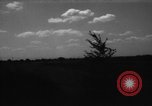 Immagine di Cavallo aratro Heidelberg Germania, 1946, secondo 10 filmato di repertorio 65675056084