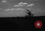 Immagine di Cavallo aratro Heidelberg Germania, 1946, secondo 11 filmato di repertorio 65675056084