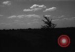 Immagine di Cavallo aratro Heidelberg Germania, 1946, secondo 12 filmato di repertorio 65675056084