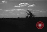 Immagine di Cavallo aratro Heidelberg Germania, 1946, secondo 13 filmato di repertorio 65675056084
