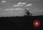Immagine di Cavallo aratro Heidelberg Germania, 1946, secondo 14 filmato di repertorio 65675056084