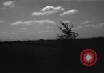 Immagine di Cavallo aratro Heidelberg Germania, 1946, secondo 15 filmato di repertorio 65675056084