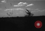 Immagine di Cavallo aratro Heidelberg Germania, 1946, secondo 17 filmato di repertorio 65675056084