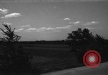 Immagine di Cavallo aratro Heidelberg Germania, 1946, secondo 21 filmato di repertorio 65675056084