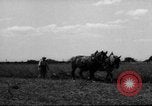 Immagine di Cavallo aratro Heidelberg Germania, 1946, secondo 33 filmato di repertorio 65675056084