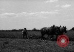 Immagine di Cavallo aratro Heidelberg Germania, 1946, secondo 34 filmato di repertorio 65675056084