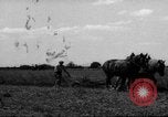 Immagine di Cavallo aratro Heidelberg Germania, 1946, secondo 35 filmato di repertorio 65675056084