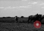 Immagine di Cavallo aratro Heidelberg Germania, 1946, secondo 36 filmato di repertorio 65675056084
