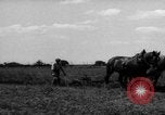 Immagine di Cavallo aratro Heidelberg Germania, 1946, secondo 37 filmato di repertorio 65675056084