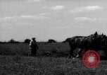 Immagine di Cavallo aratro Heidelberg Germania, 1946, secondo 38 filmato di repertorio 65675056084