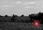 Immagine di Cavallo aratro Heidelberg Germania, 1946, secondo 39 filmato di repertorio 65675056084