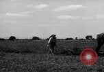 Immagine di Cavallo aratro Heidelberg Germania, 1946, secondo 41 filmato di repertorio 65675056084
