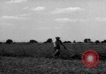 Immagine di Cavallo aratro Heidelberg Germania, 1946, secondo 42 filmato di repertorio 65675056084