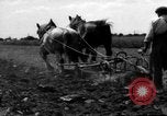 Immagine di Cavallo aratro Heidelberg Germania, 1946, secondo 45 filmato di repertorio 65675056084
