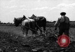 Immagine di Cavallo aratro Heidelberg Germania, 1946, secondo 46 filmato di repertorio 65675056084
