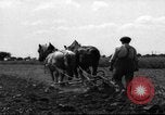 Immagine di Cavallo aratro Heidelberg Germania, 1946, secondo 47 filmato di repertorio 65675056084
