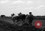 Immagine di Cavallo aratro Heidelberg Germania, 1946, secondo 48 filmato di repertorio 65675056084
