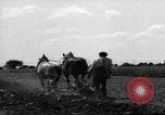 Immagine di Cavallo aratro Heidelberg Germania, 1946, secondo 49 filmato di repertorio 65675056084