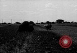 Immagine di Cavallo aratro Heidelberg Germania, 1946, secondo 50 filmato di repertorio 65675056084
