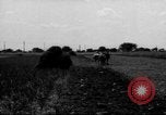 Immagine di Cavallo aratro Heidelberg Germania, 1946, secondo 52 filmato di repertorio 65675056084