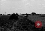 Immagine di Cavallo aratro Heidelberg Germania, 1946, secondo 54 filmato di repertorio 65675056084