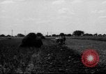 Immagine di Cavallo aratro Heidelberg Germania, 1946, secondo 55 filmato di repertorio 65675056084