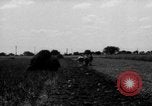 Immagine di Cavallo aratro Heidelberg Germania, 1946, secondo 56 filmato di repertorio 65675056084