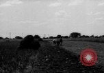Immagine di Cavallo aratro Heidelberg Germania, 1946, secondo 57 filmato di repertorio 65675056084