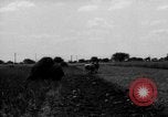Immagine di Cavallo aratro Heidelberg Germania, 1946, secondo 58 filmato di repertorio 65675056084