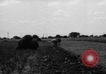 Immagine di Cavallo aratro Heidelberg Germania, 1946, secondo 59 filmato di repertorio 65675056084