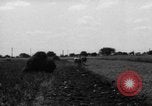 Immagine di Cavallo aratro Heidelberg Germania, 1946, secondo 61 filmato di repertorio 65675056084