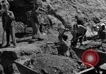 Immagine di La mia auto Ulm Germania, 1945, secondo 10 filmato di repertorio 65675056098