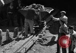 Immagine di La mia auto Ulm Germania, 1945, secondo 23 filmato di repertorio 65675056098