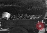 Image civils Sobernheim Allemagne, 1945, de la seconde 32 séquences d'archives historiques vidéo 65675056116