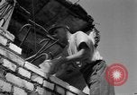 Image activités de reconstruction Pforzheim Allemagne, 1949, de la seconde 50 séquences d'archives historiques vidéo 65675056120