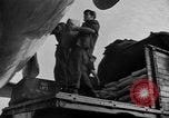 Image avions Vittles Francfort Allemagne, 1949, de la seconde 44 séquences d'archives historiques vidéo 65675056123