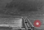 Image des véhicules blindés Hatzenport Allemagne, 1945, de la seconde 22 séquences d'archives historiques vidéo 65675056143