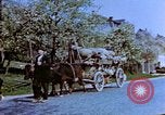 Immagine di Civili tedesco Treviri in Germania, 1945, secondo 51 filmato di repertorio 65675056161
