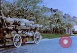 Immagine di Civili tedesco Treviri in Germania, 1945, secondo 55 filmato di repertorio 65675056161