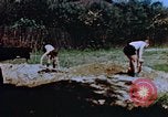 Image of Reisinger Fountain Park Wiesbaden Germany, 1945, second 6 stock footage video 65675056167