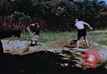 Image of Reisinger Fountain Park Wiesbaden Germany, 1945, second 7 stock footage video 65675056167