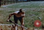 Image of Reisinger Fountain Park Wiesbaden Germany, 1945, second 24 stock footage video 65675056167