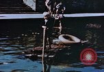Image of Reisinger Fountain Park Wiesbaden Germany, 1945, second 53 stock footage video 65675056167