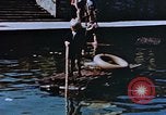 Image of Reisinger Fountain Park Wiesbaden Germany, 1945, second 54 stock footage video 65675056167