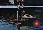 Image of Reisinger Fountain Park Wiesbaden Germany, 1945, second 55 stock footage video 65675056167