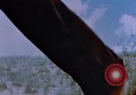 Standbild deutsche Kinder Deutschland, 1945, aus Sekunde 35 historischem Filmmaterial Videoclip 65675056172