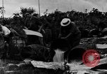 Standbild William Butler Edgar Verbot unterstützen United States USA, 1930, aus Sekunde 47 historischem Filmmaterial Videoclip 65675056177