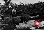 Standbild William Butler Edgar Verbot unterstützen United States USA, 1930, aus Sekunde 60 historischem Filmmaterial Videoclip 65675056177