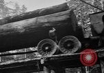 Standbild Verschlussleiste Aberdeen Washington USA, 1930, aus Sekunde 14 historischem Filmmaterial Videoclip 65675056181