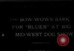 Standbild Mid West Dog Show Chicago Illinois USA, 1930, aus Sekunde 1 historischem Filmmaterial Videoclip 65675056182